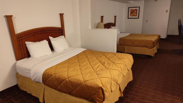Metro Inn image 12