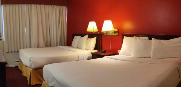 Metro Inn image 16