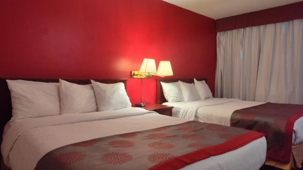 Metro Inn image 18