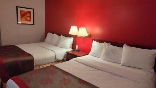 Metro Inn image 19