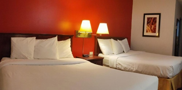Metro Inn image 21