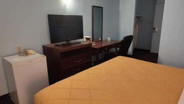 Metro Inn image 7